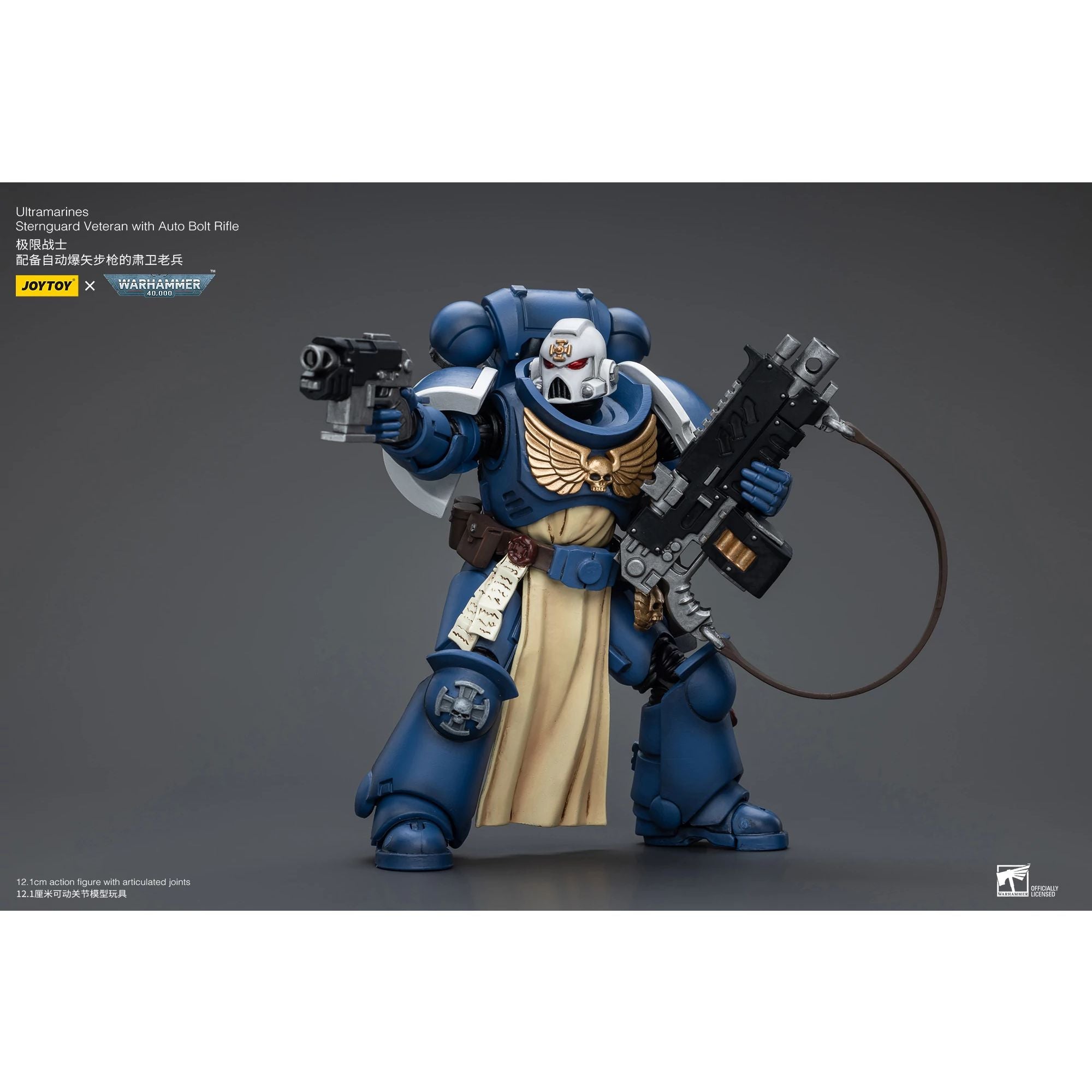 JoyToy WH40K Ultramarines Sternguard action figure 1/18