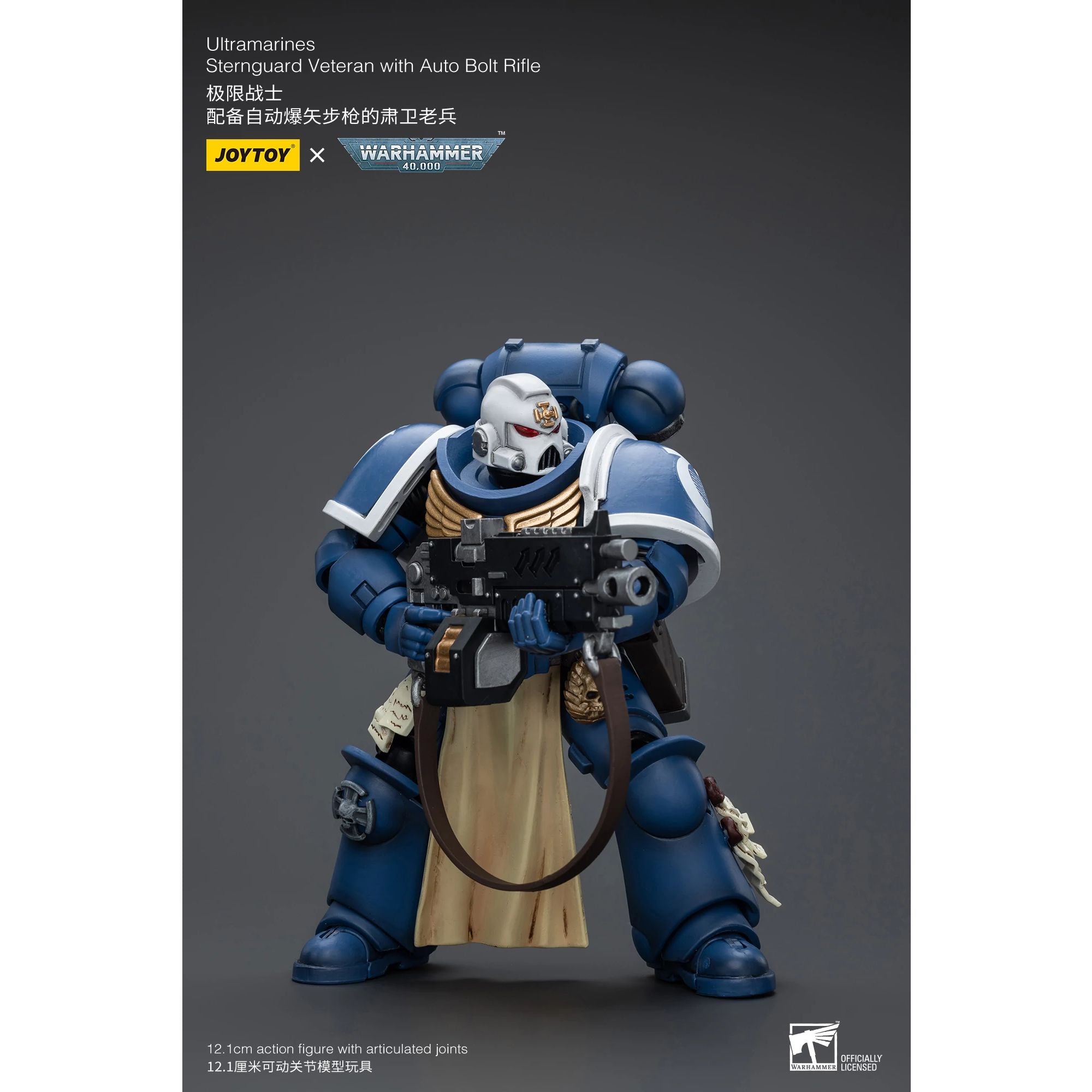 JoyToy WH40K Ultramarines Sternguard action figure 1/18