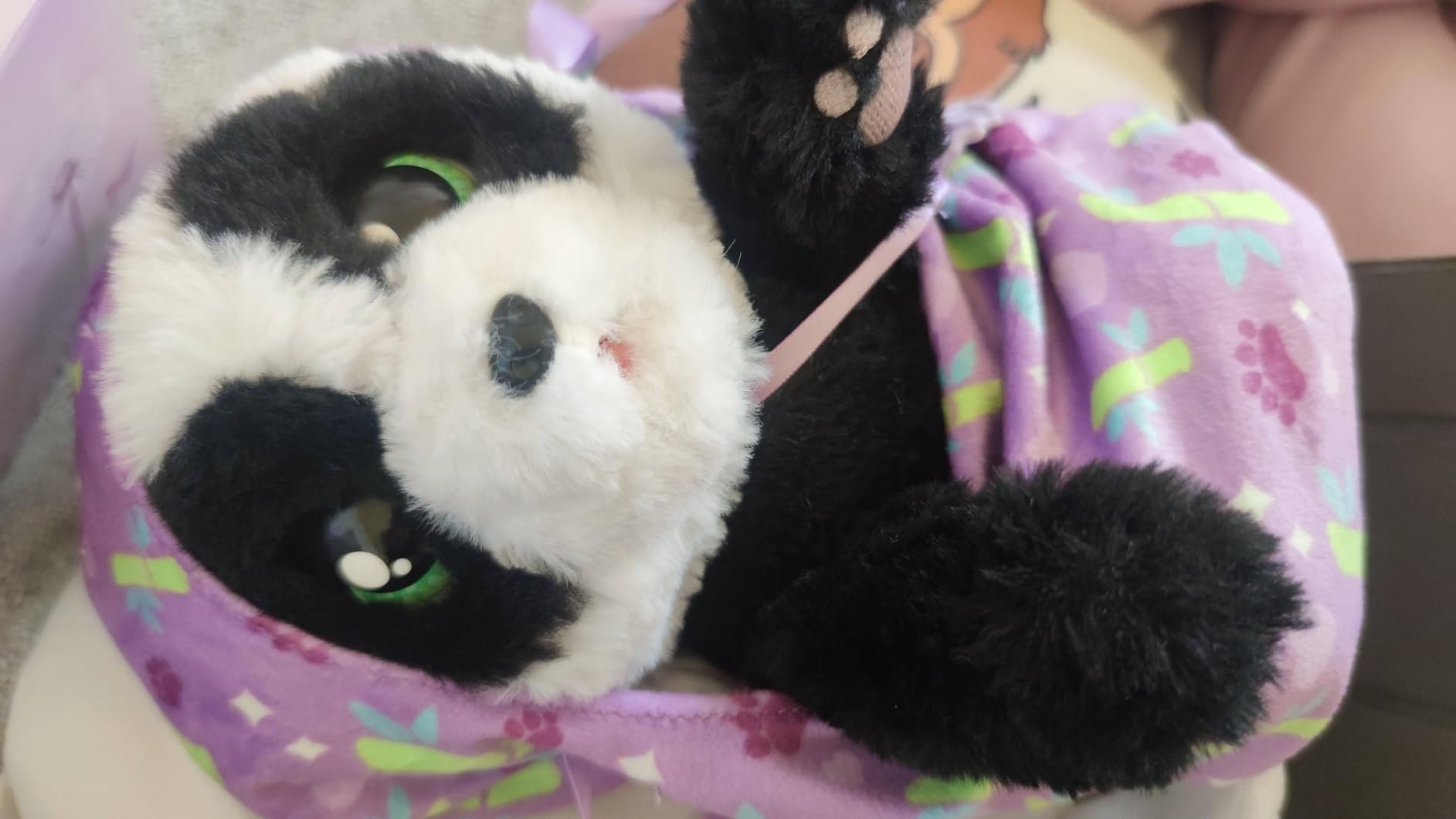Baby Paws Cocker peluche interattivo con borsetta 3 anni